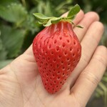 姫路ハートフル観光農園 - 