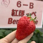 姫路ハートフル観光農園 - 