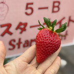 姫路ハートフル観光農園 - 