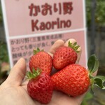 姫路ハートフル観光農園 - 