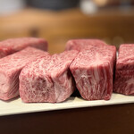 rogamasteak arcanum - 