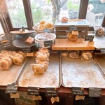 レッサーパンヤ - 予約枠終了後の一般販売時なのでこんな感じ