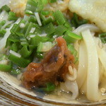 つるまるGee - 2014/7/9の　水スペぇぇ