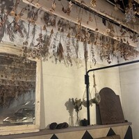 表参道 バッカス - 