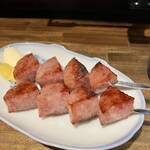 サケとスミビとロシュタン - 