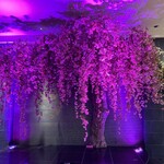 上諏訪温泉 しんゆ - 