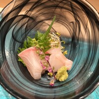 札幌 鮨 よこ田 - 