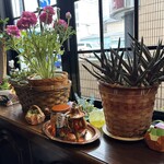 Sumibi Sen Coffee Rikyu - Greenery by the window. Well-maintained and beautiful.