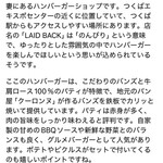 レイドバックバーガー - Grokに聞いてみた^_^