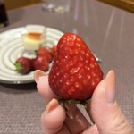 ゆのごう美春閣 - 