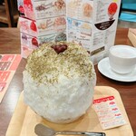 Cafe Elephant Mountain