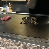 名駅 鉄板焼き 森本Ｘ Premium - 