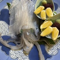 河太郎 中洲本店 - 呼子のイカお造り