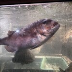 居魚屋 網元 別邸 - 