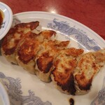 玉龍苑 - 定食の餃子