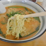 麺屋 無双 - 麺屋無双・牛骨担々麺 麺近影(2014.03)