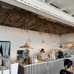 チャハヤブラン - 