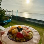 チャハヤブラン - 