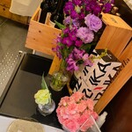 アルバロンガ - 