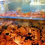 北のグルメ亭 - 