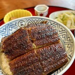 炭焼うな富士 白壁別邸 - うなぎ丼