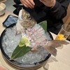海鮮酒場 うおぷく
