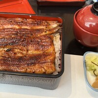 うなぎ藤田 白金台店 -  うなぎ藤田 白金台店 -