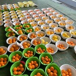 みかん問屋(有)石澤商店 - 