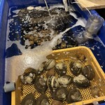 箱館居酒屋 熾美 - 