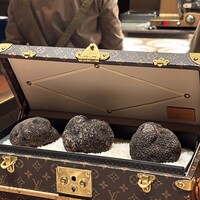 スガラボヴィー - 
