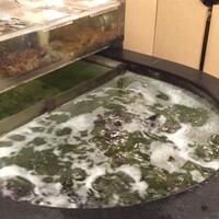 割烹 かじ 本店 - 