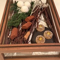 Plaiga TOKYO - 