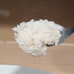 オーム タイ テースト - ライス　リフト