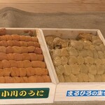 すし ふくづか - 紫雲丹＆馬糞雲丹　お披露目