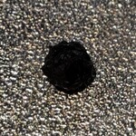 Largo RISTORANTE - キハダの実