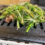 江畑 - ギアラネギ