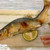 友希 - 料理写真:友釣りの鮎は四万十川のものを超える味。どこのものかは書かないでおきます。だって、食べられなくなると困りますから。