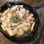 ESOLA - 