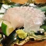 穴子料理と地酒 浅草 川井 - 
