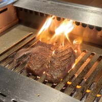 焼肉うしごろ 表参道店 - 