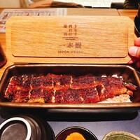 うなぎ四代目菊川 神戸三宮店 - 