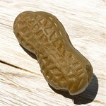 鹿屋市観光物産総合センター 食堂 - 大きな落花生！本物みたいに見えるよね( •ω-  )☆