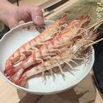 神田錦町 鮨たか晴 - 茹で立ての車海老