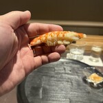 鮨 ひじり - 握り 車海老