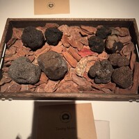 Terres de Truffes, Tokyo - 