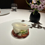 レフェルヴェソンス - 