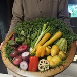 レフェルヴェソンス - 