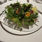 レフェルヴェソンス - 