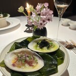 レフェルヴェソンス - 