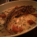 トラットリア・ピッツェリア・レ・アルカーテ - アクアパッツァ　千葉県産　ほうぼう